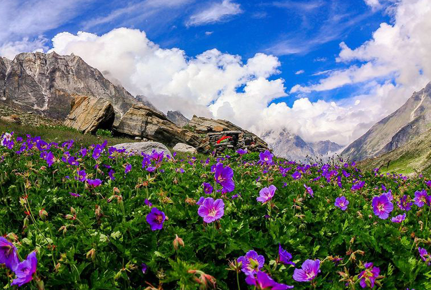 uttarakhand